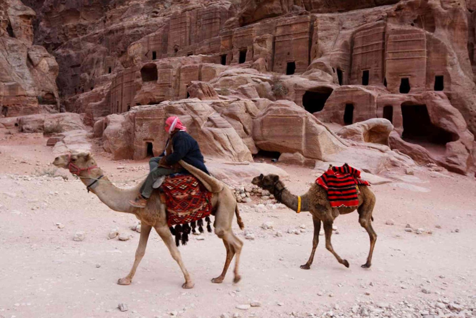 شركات سياحة في بورسعيد