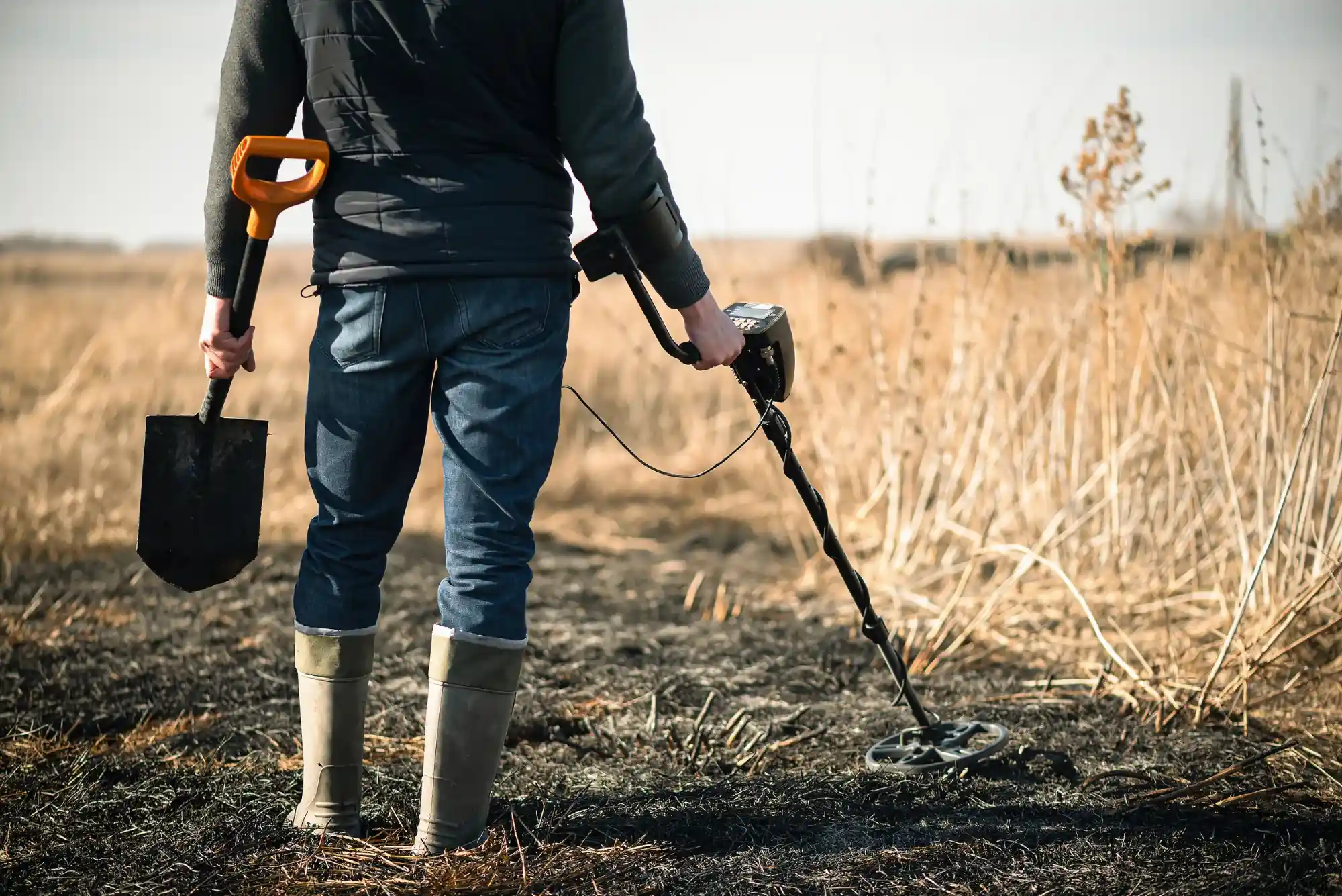 Gold Detector vs. Treasure Detector Differences Explained  