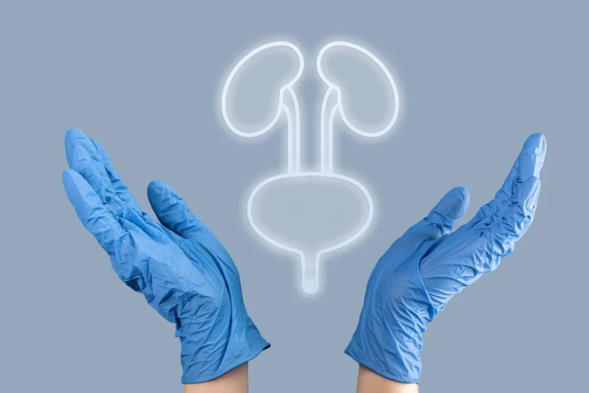 تخصص المسالك البولية