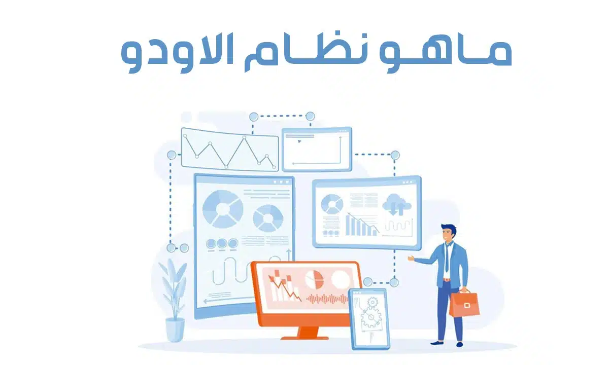 دليل نظام حدود الإيداع في Pinco