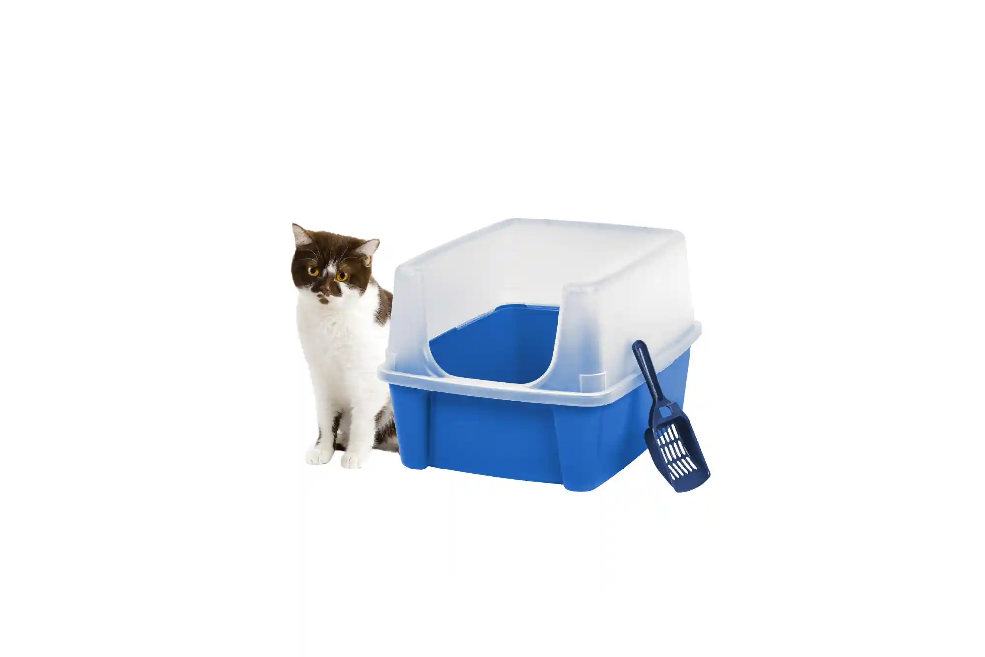 Best Top-Entry and High-Sided Litter Boxes for Cats That Kick Litter and High Pee-ers
